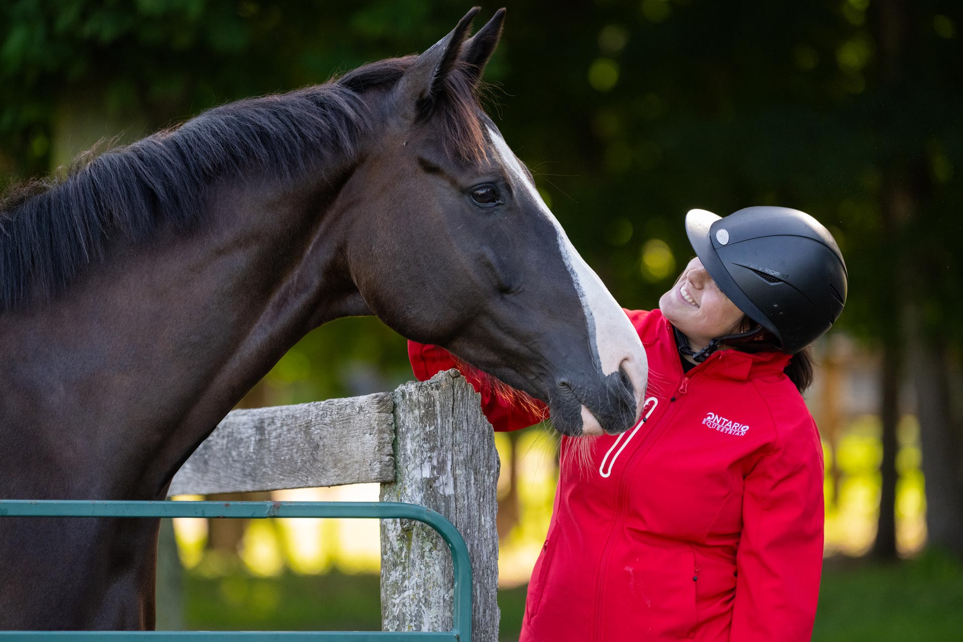 Understanding Equine Medication Control