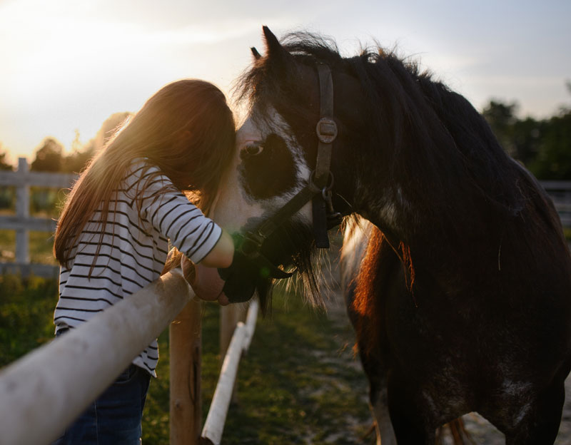 Fostering Healthy Equestrian Environments